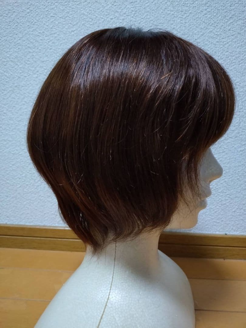 人毛100%　Sサイズ　ブラウン　フルウィッグ
