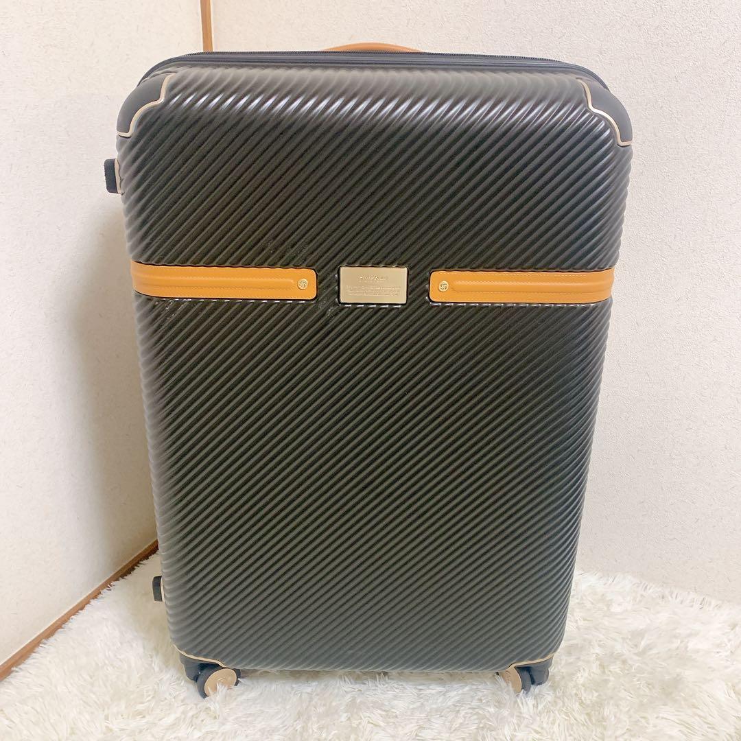 Samsonite ブラックレーベル リッチモンド 2 スピナー 75 キャリー
