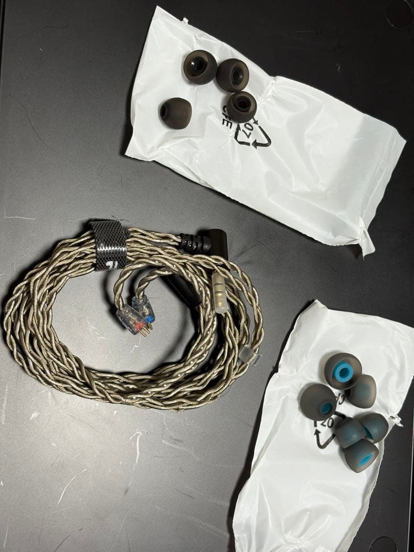 fiio fp3 rosewood 金メッキケーブル付