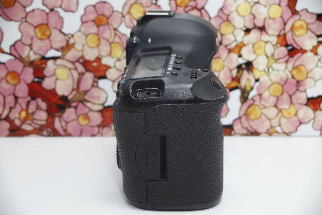 ❤堅牢の5D系列❤キヤノン EOS 5D mark Ⅲ❤️