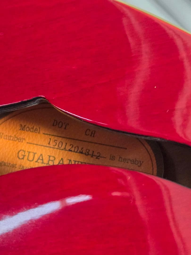 ボ*ブ様 Epiphone es-335 DOT【2015年製】（ケース付き）