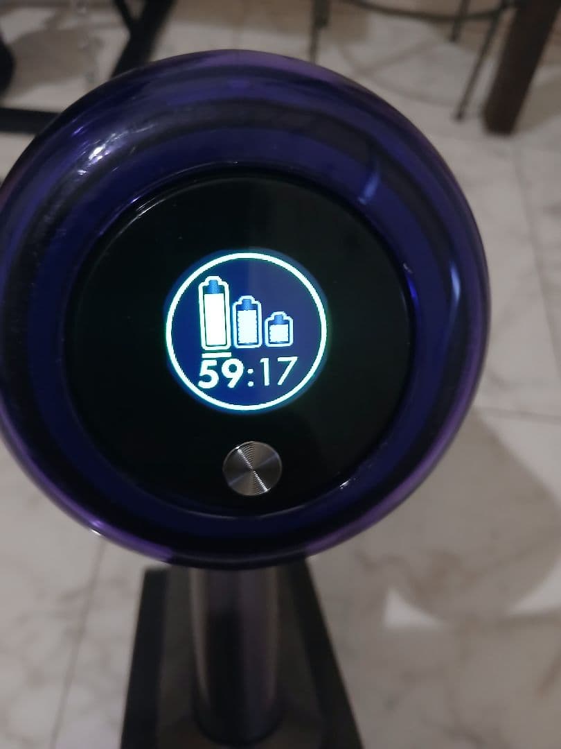 た*ー様 Dyson sv14 Absolute proゴールドスタンド付フルセ