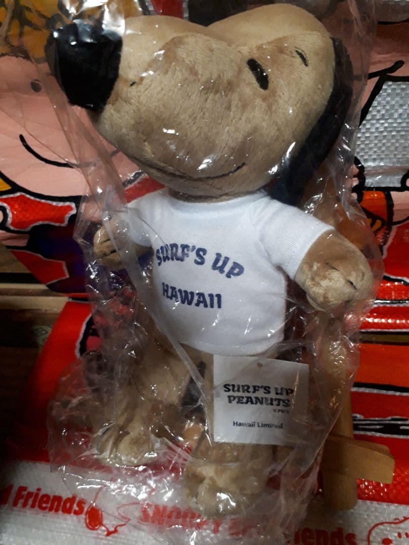 スヌーピーHAWAII ぬいぐるみSURF'S UP moni　　　レア！！