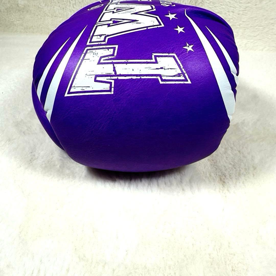 【希少】TWINS SPECIAL ボクシンググローブ　16オンス　紫