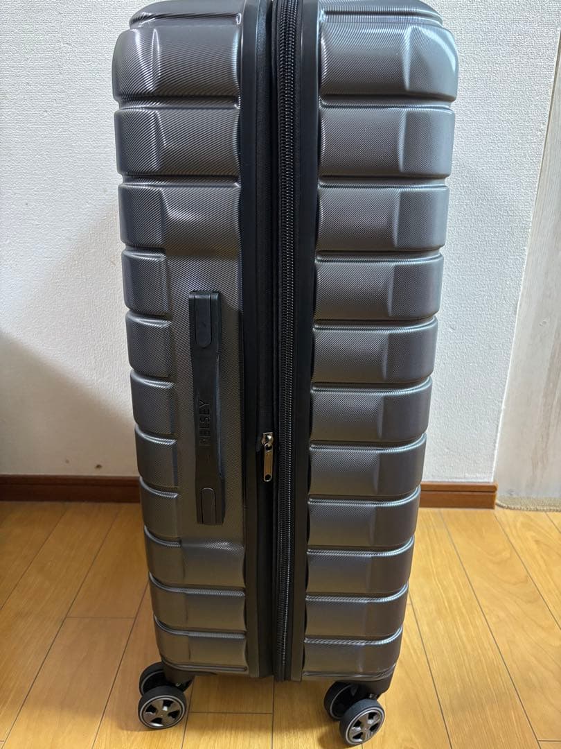 コストコDELSEY PARIS スーツケース30 inch グラファイト