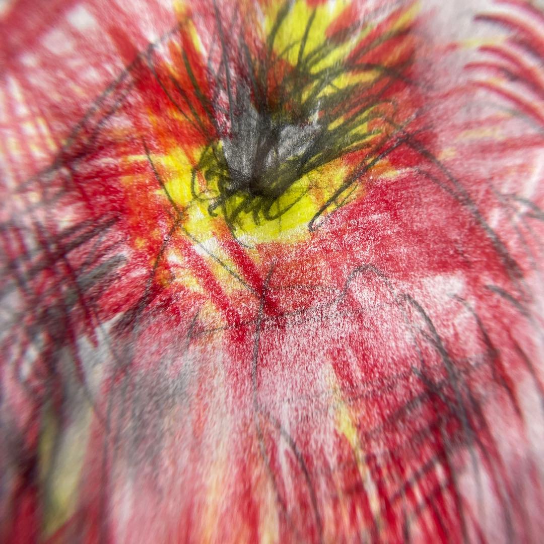 【色鉛筆画】りんご