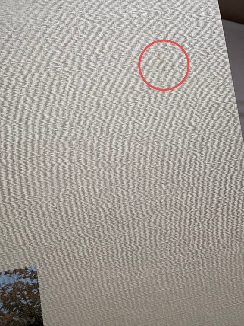 SEVENTEEN ホシHOSHIトレカ ポストカード ブロマイド 等