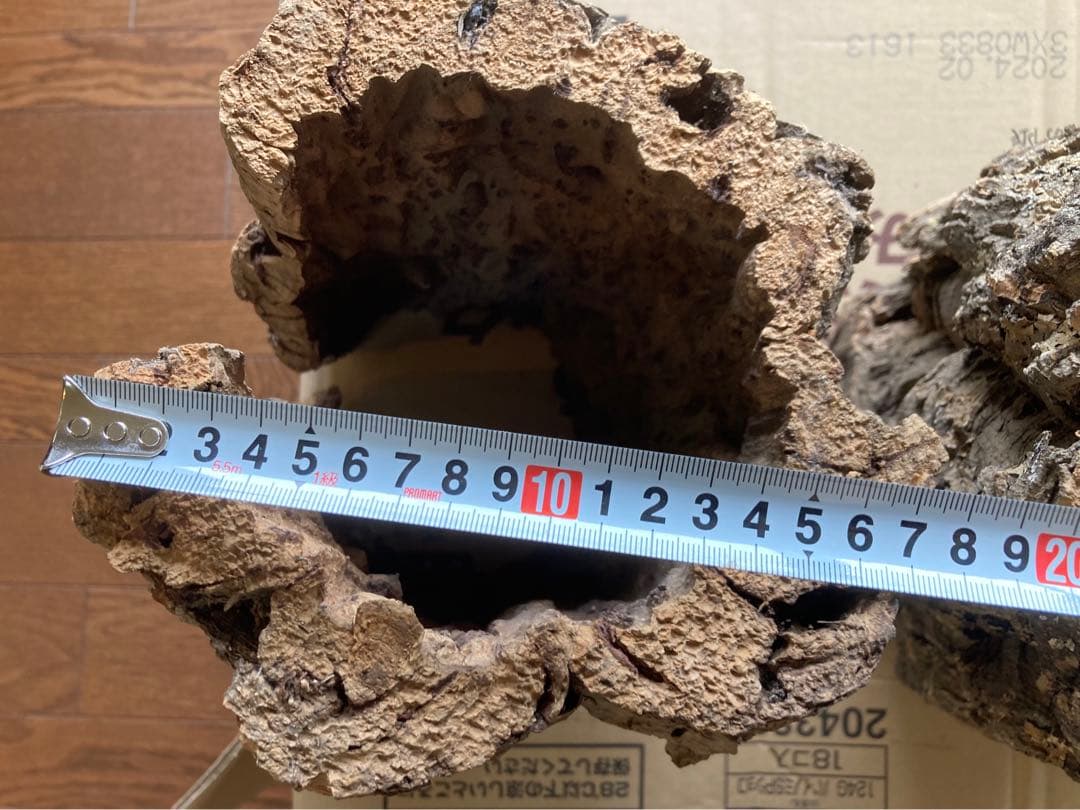 天然コルク樹皮2個とコナラ樹皮1個