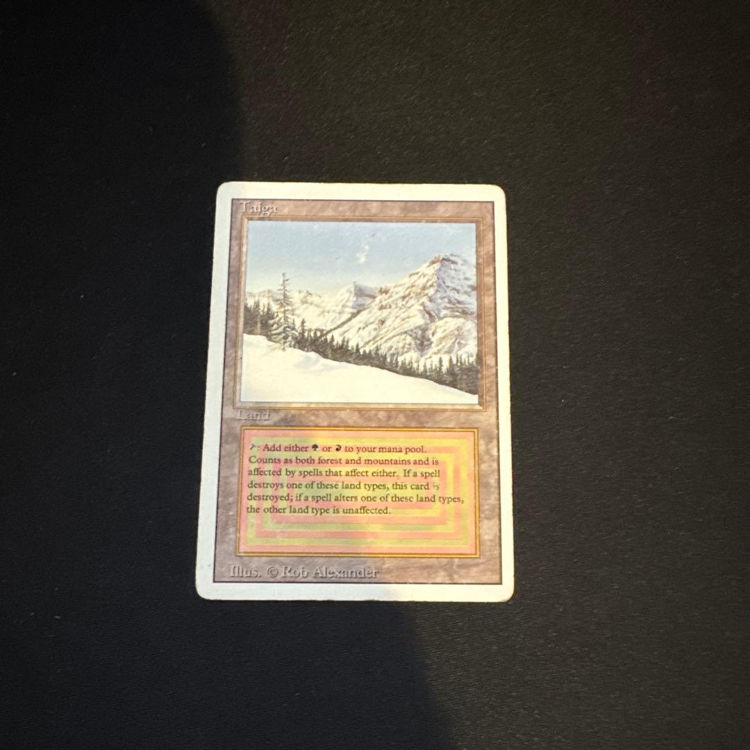 マジック：ザ・ギャザリング Taiga 3ED