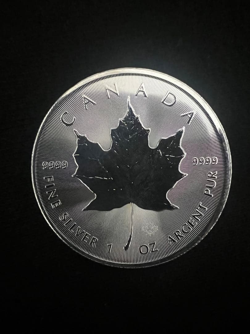 メイプルリーフ銀貨2024 (25枚)