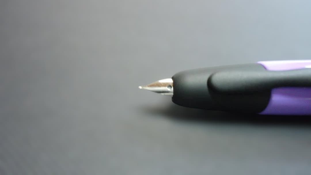 パイロット 万年筆 ANNA SUI 細字(F) 紫 ペンケース付【未使用】