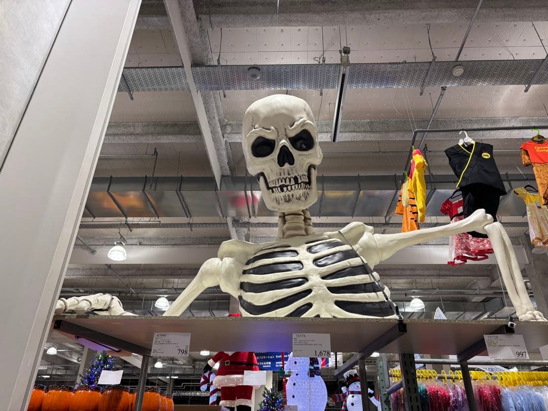 スケルトンモデル コストコ　ハロウィン