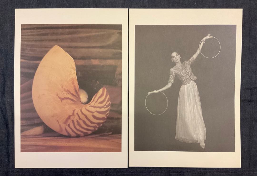 INTRIGUE 上田義彦 写真集 1989年 限定1000部