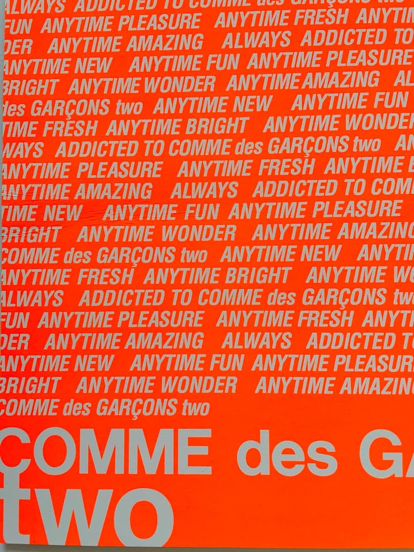 COMME DES GARÇONS two DM