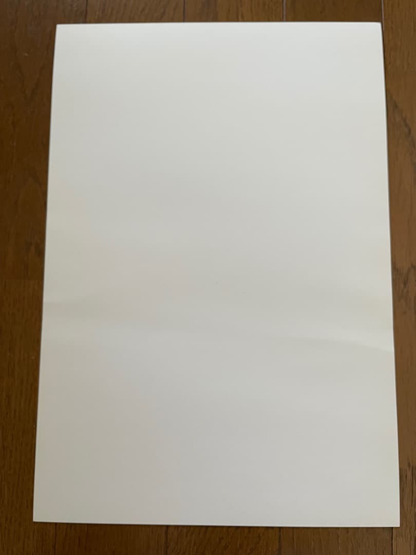 COMME DES GARÇONS two DM