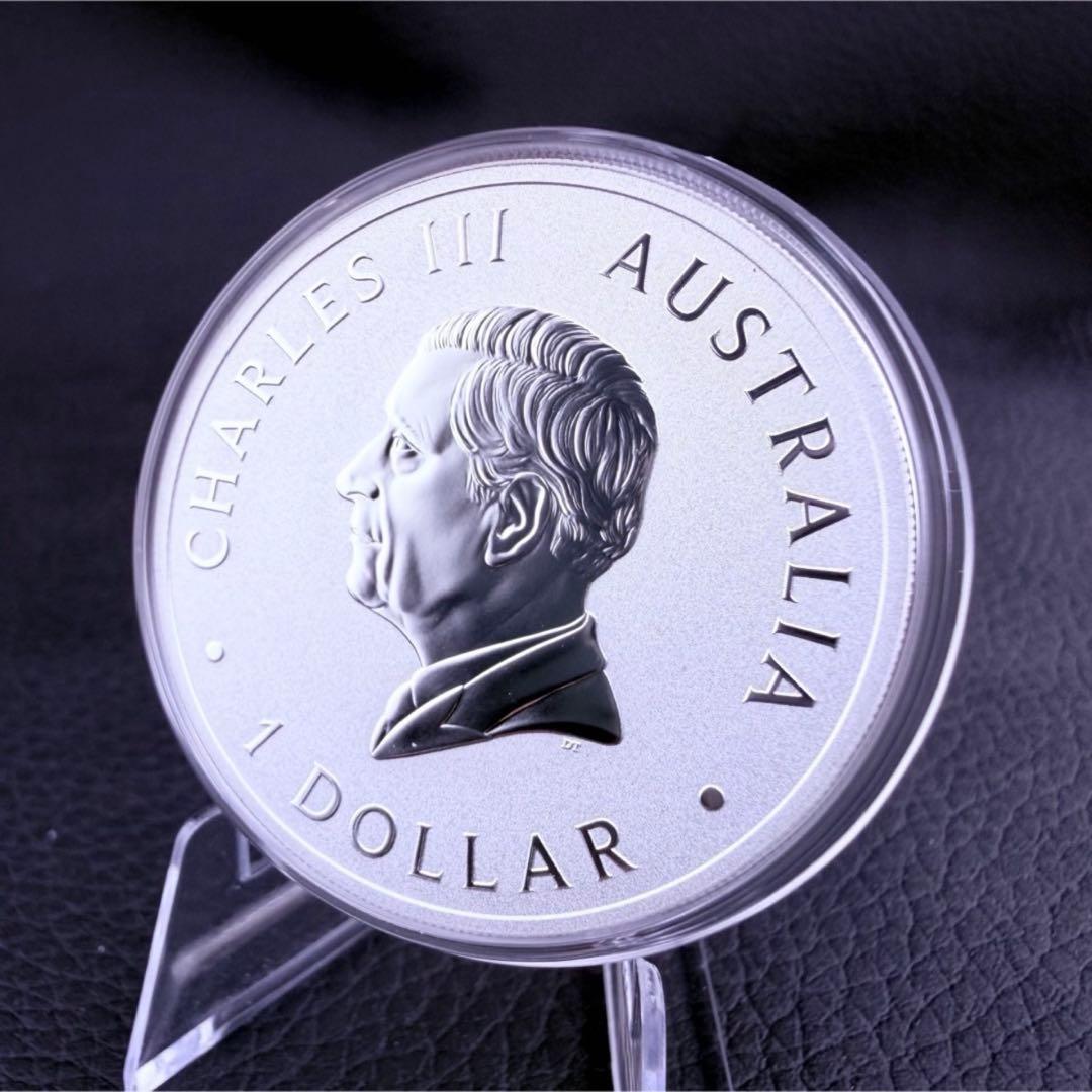 銀貨 ブランビー 野生馬 カラー プルーフ 純銀 保証書 1500枚限定