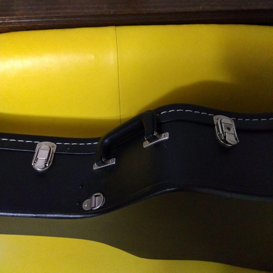 MERIDA　diana dc15 FISHMAN搭載エレアコ　ハードケース付