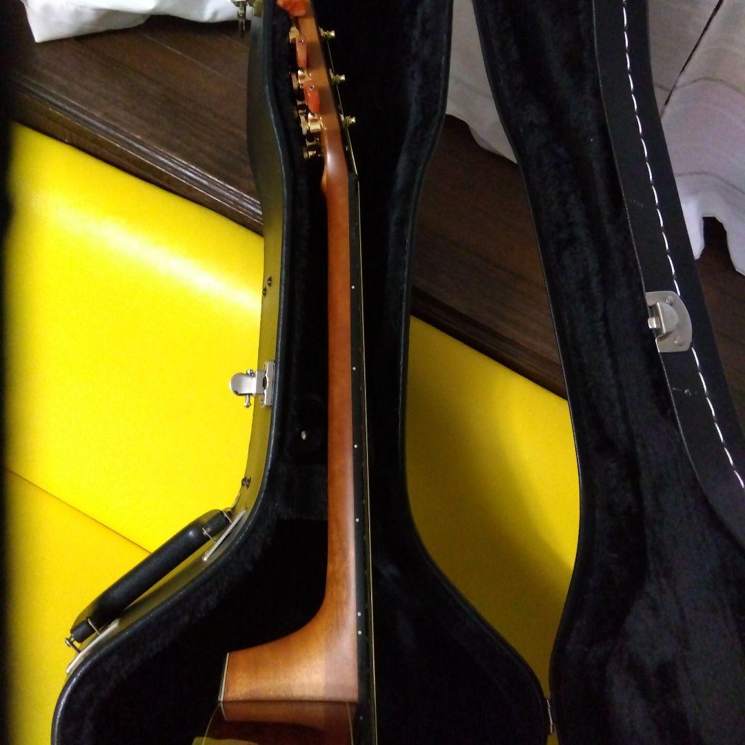 MERIDA　diana dc15 FISHMAN搭載エレアコ　ハードケース付