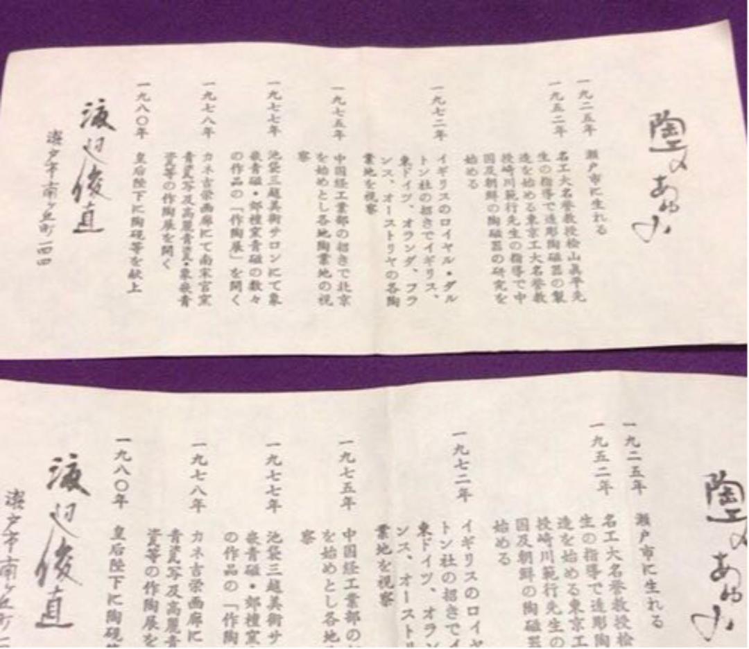 耀光天目茶碗　渡辺俊直☆共箱☆説明書・おまけ付