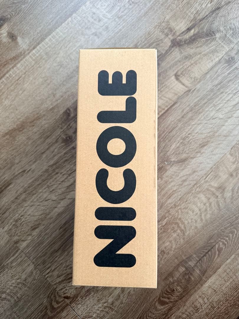 BUMP OF CHICKEN ニコル フィギュア