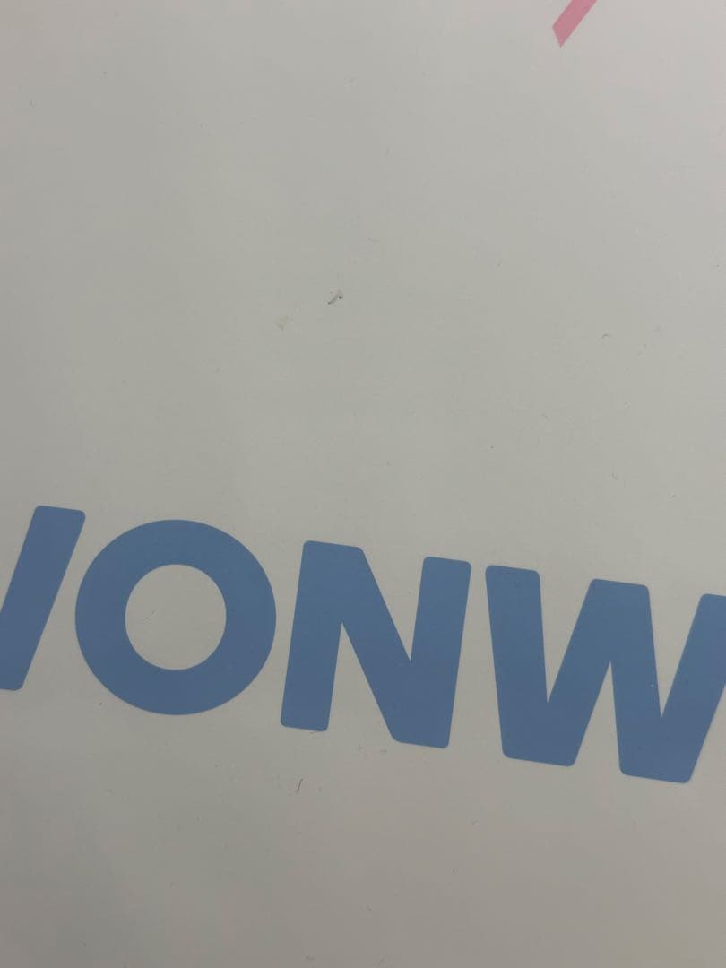 SEVENTEEN WONWOO ウォヌ ケレン うちわ セブチ ピケット