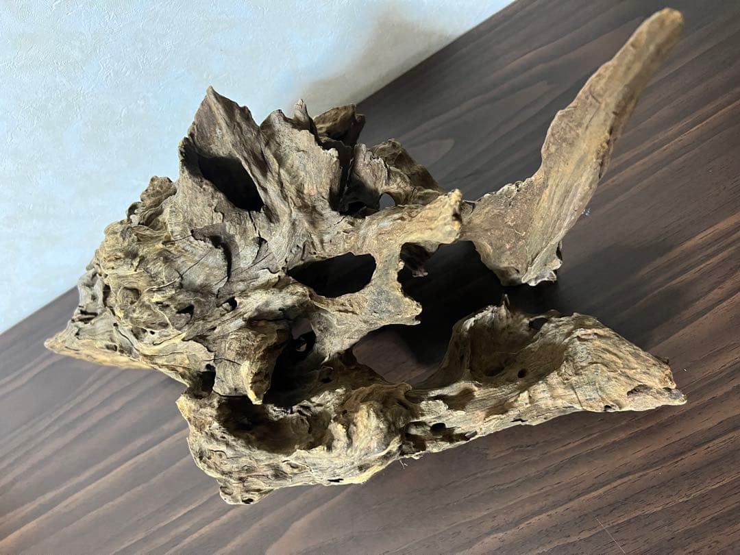 (XM-202) 流木　マシンガンウッド　アクアリウム沈水確認済　ブランチウッド