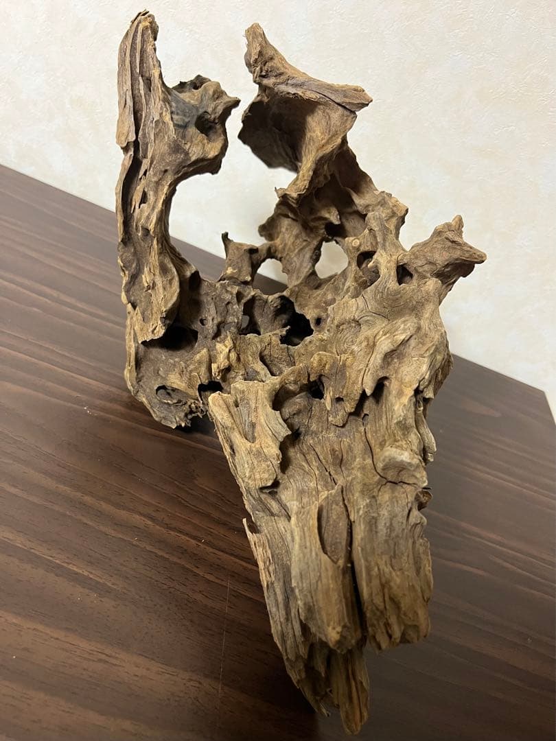 (XM-202) 流木　マシンガンウッド　アクアリウム沈水確認済　ブランチウッド