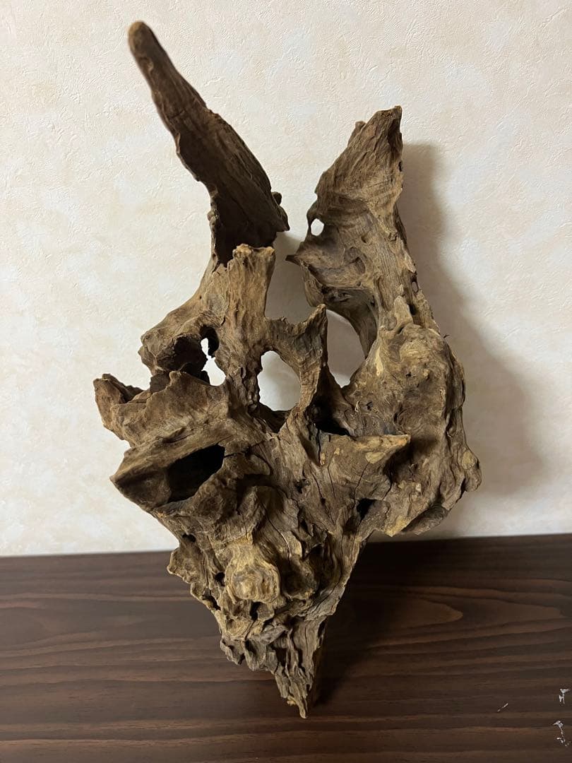 (XM-202) 流木　マシンガンウッド　アクアリウム沈水確認済　ブランチウッド