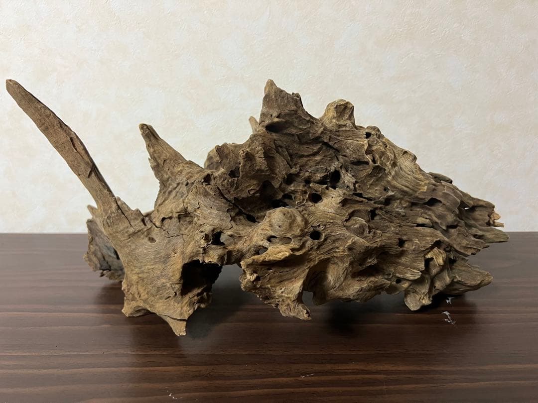 (XM-202) 流木　マシンガンウッド　アクアリウム沈水確認済　ブランチウッド