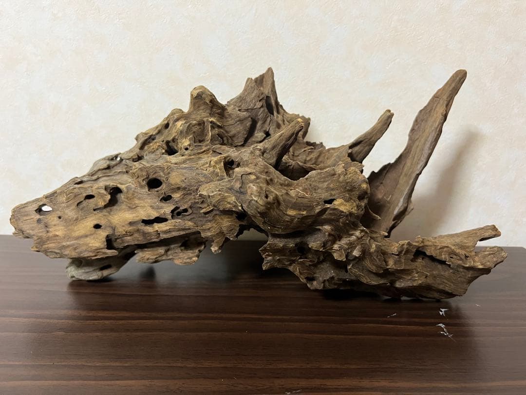 (XM-202) 流木　マシンガンウッド　アクアリウム沈水確認済　ブランチウッド