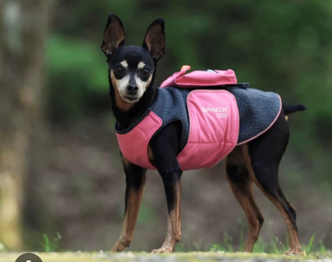 アルファアイコン