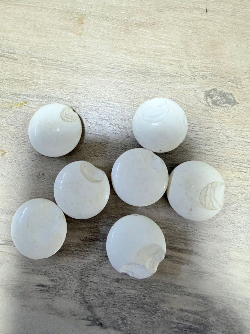 高級 蛤碁石 那智黒石 32号(厚さ9mm) 白177個 黒174個 木製碁笥