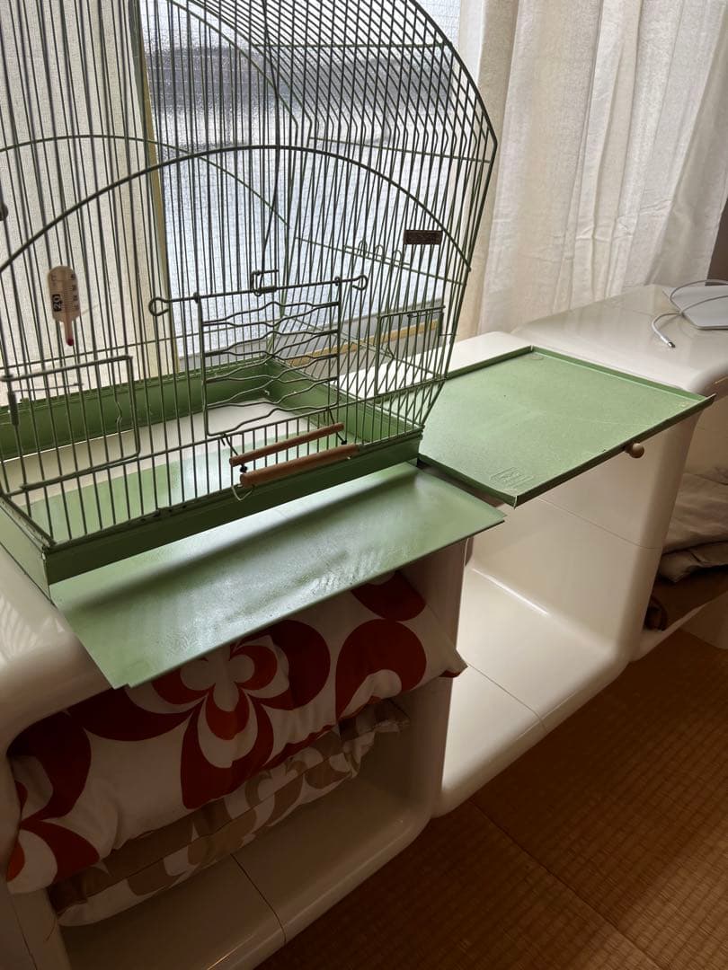 アンティーク　鳥かご　バードケージ　kinsen ビンテージ　文鳥　小鳥　琴線