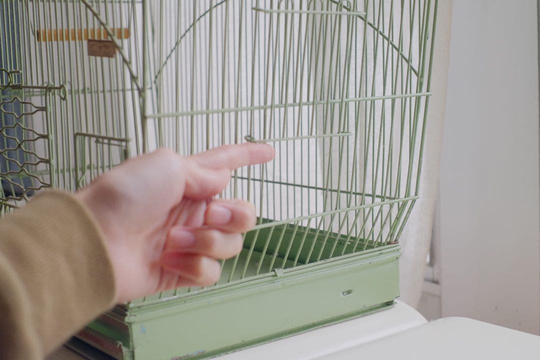 アンティーク　鳥かご　バードケージ　kinsen ビンテージ　文鳥　小鳥　琴線