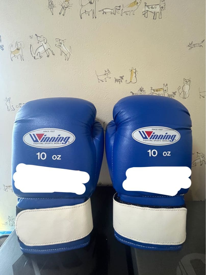 Winning ボクシンググローブ 10 oz 青　新品未使用　ソフトタイプ