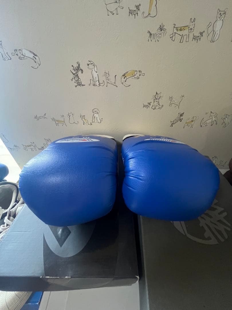 Winning ボクシンググローブ 10 oz 青　新品未使用　ソフトタイプ