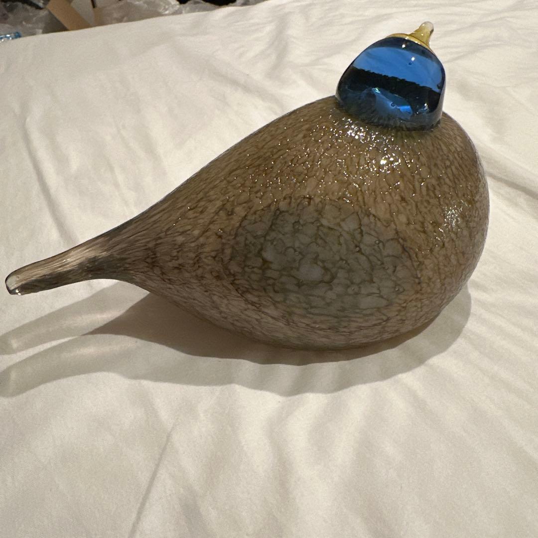 イッタラ オイバトイッカ / Dotterel バード