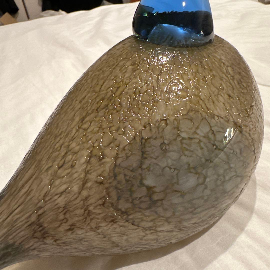 イッタラ オイバトイッカ / Dotterel バード