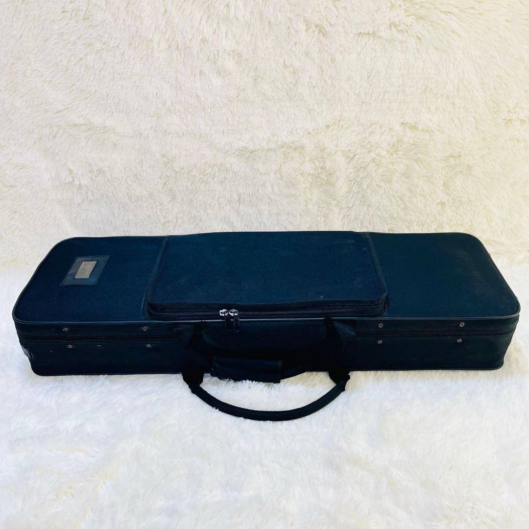 現状品　沖縄三線　蛇皮　ヘビ皮　ケース付き　爪　三味線