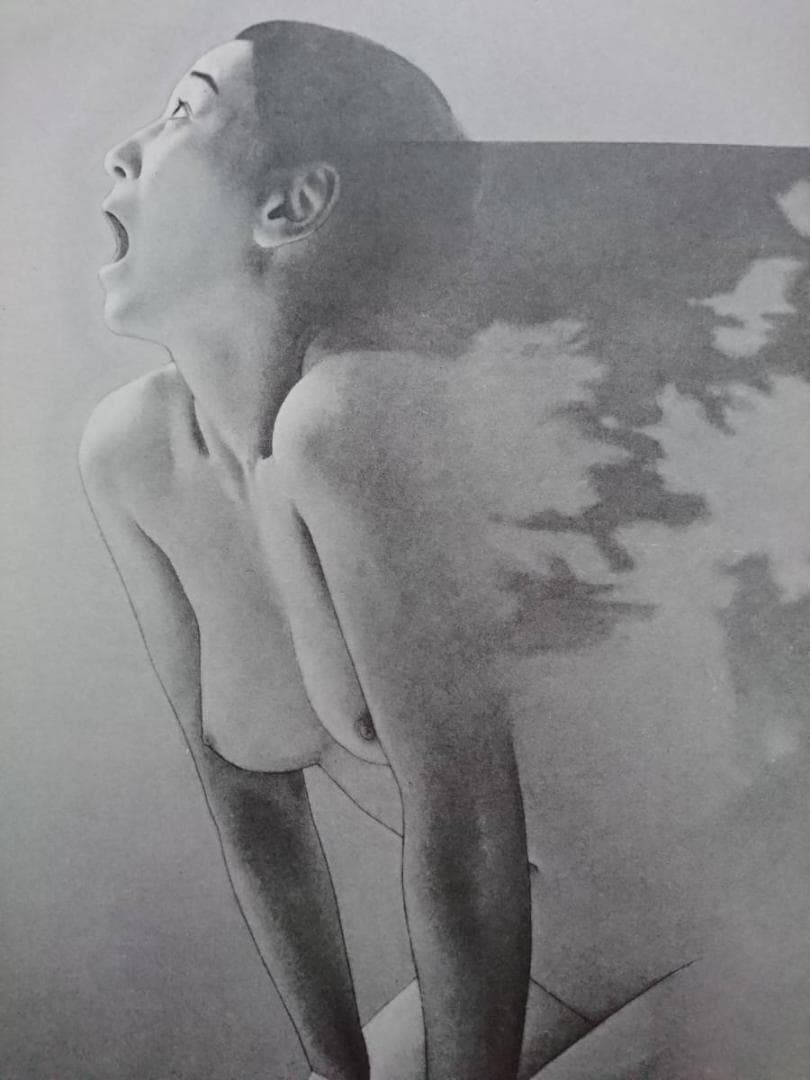 高塚省吾、、たかつか せいご、美人画、裸婦、入手困難・レアな年代物の画集より