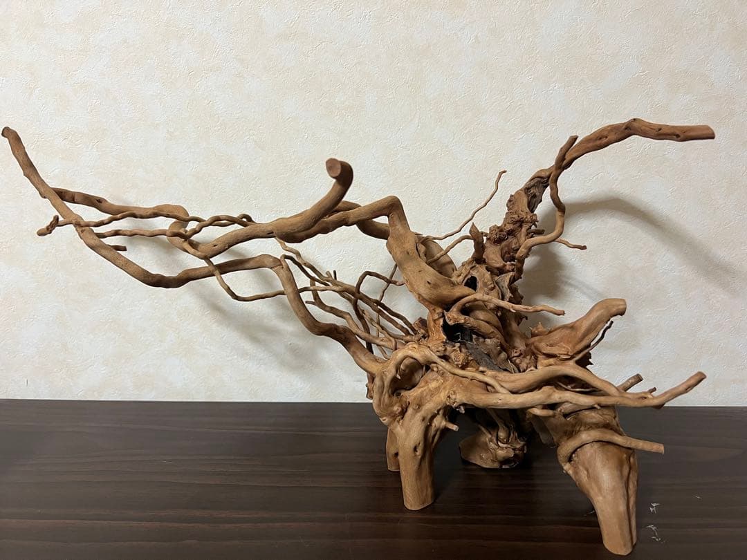 11206 ブランチウッド　流木　アクアリウム　沈水確認済