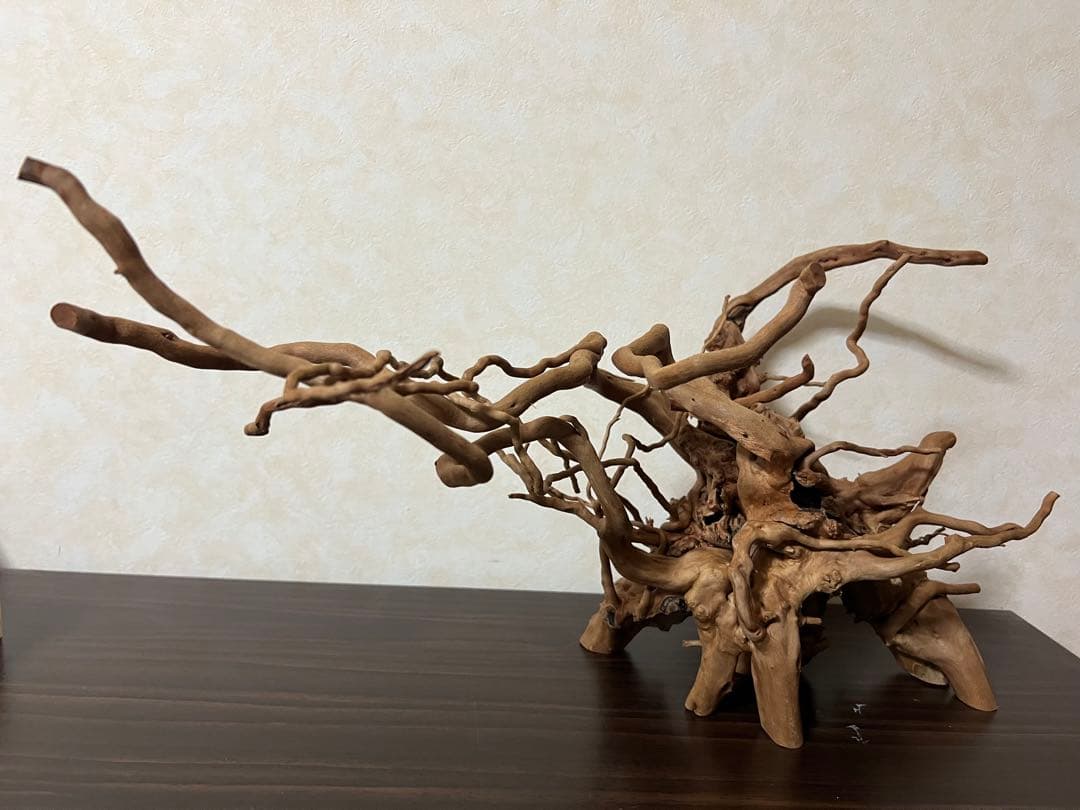 11206 ブランチウッド　流木　アクアリウム　沈水確認済