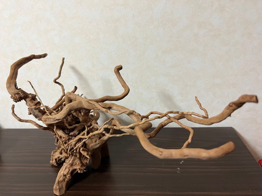 11206 ブランチウッド　流木　アクアリウム　沈水確認済