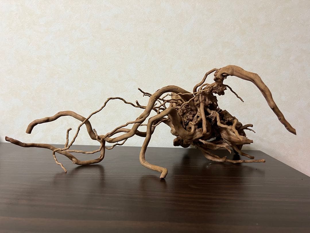 11206 ブランチウッド　流木　アクアリウム　沈水確認済