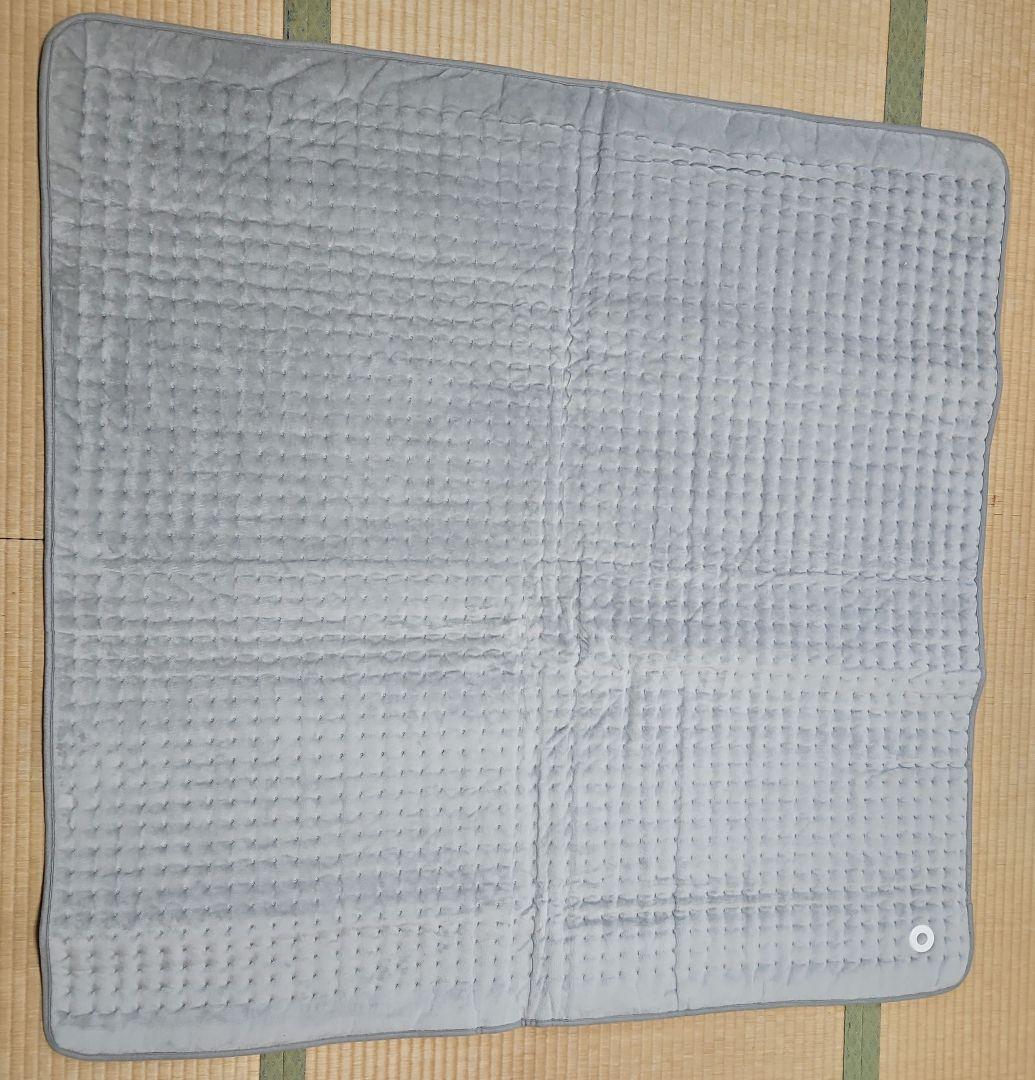 DENBA デンバヘルススタンダード 別売カバー&検電器付