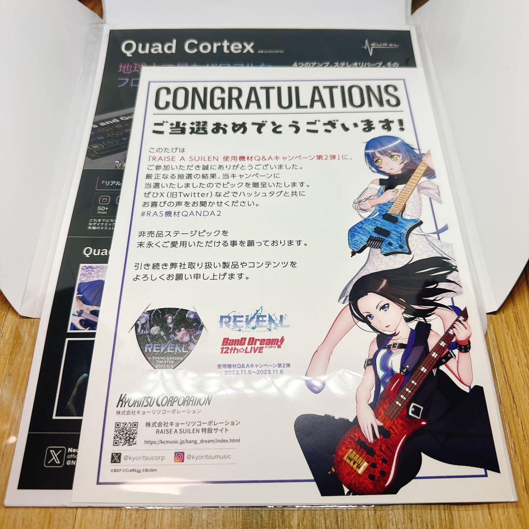 【非売品新品】 RAISE A SUILEN REVEAL 100名限定ピック