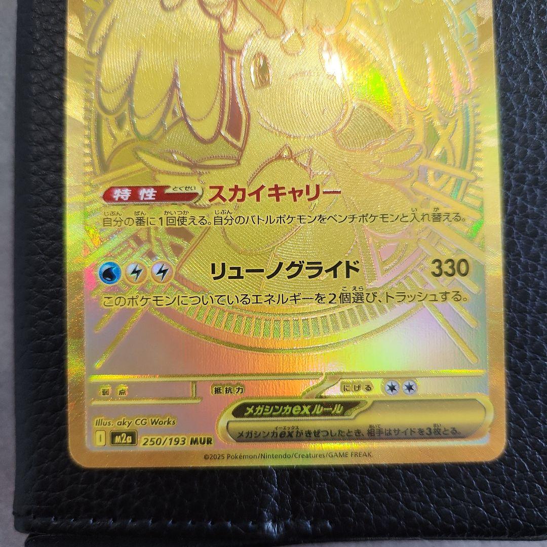 メガカイリュゥーex mur