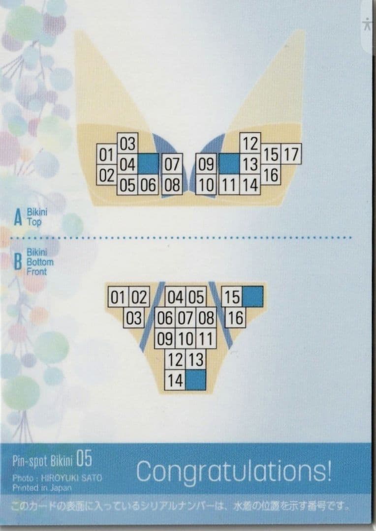 16枚限定【 内木志】 ピンスポビキニカード ファースト・トレーディングカード