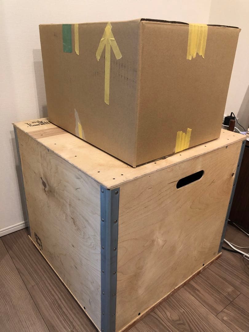 『正規品』louis poulsen / ルイス ポールセン(美品)