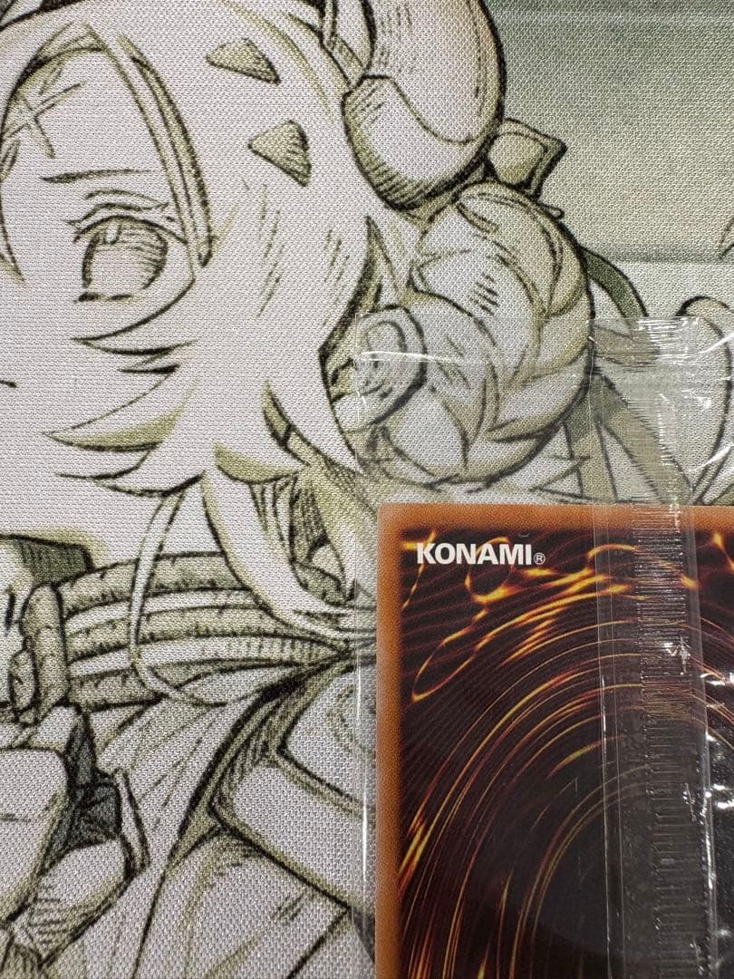 異次元の女戦士